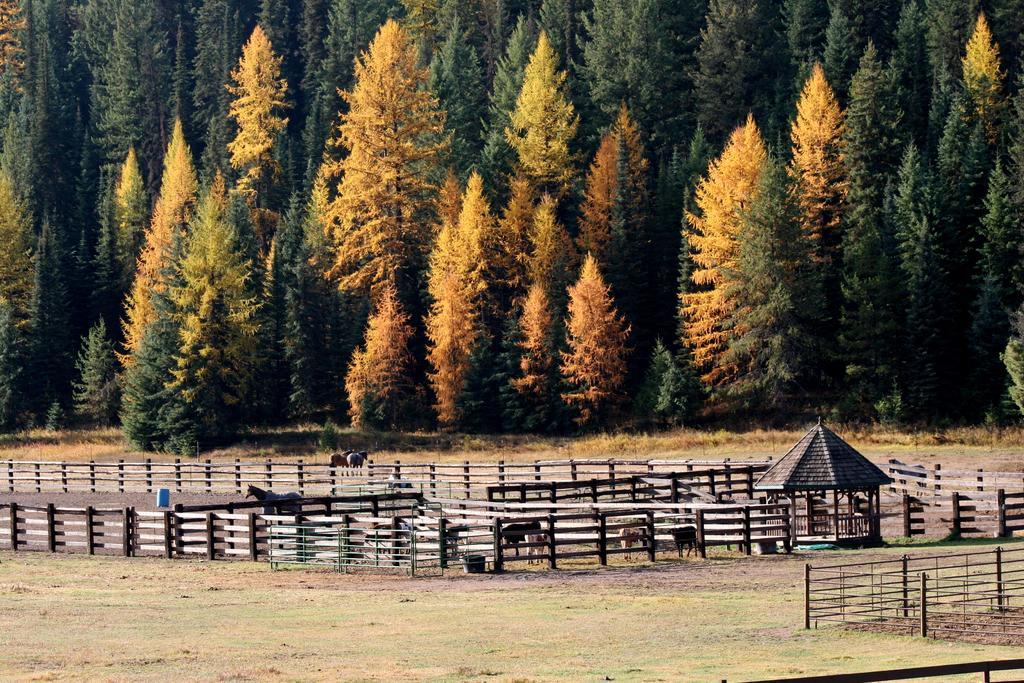 Villa Bar W Guest Ranch à Whitefish Extérieur photo